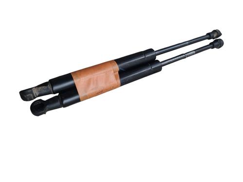 Used Tailgate lift support FIAT 500 (312_) 1.2 (312AXA1A) (69 hp) 30629023