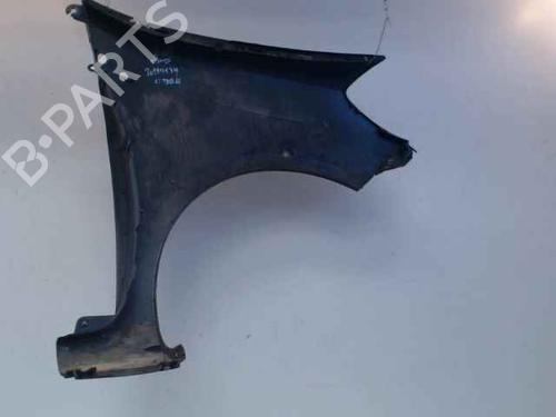 Left front fenders RENAULT CLIO III (BR0/1, CR0/1) 1.5 dCi (BR17, CR17) | BP24900323C41 