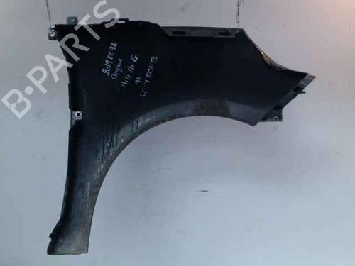 Left front fenders RENAULT SCÉNIC III (JZ0/1_) 1.5 dCi | BP27690086C41 