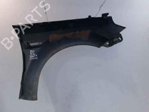 Left front fenders OPEL TIGRA TwinTop (X04) 1.4 (R97) | BP24900923C41 