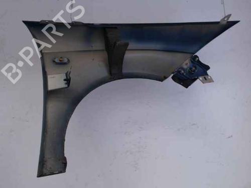Left front fenders SEAT TOLEDO III (5P2) 1.9 TDI | BP24900933C41 