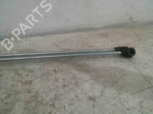 Hood lift support PEUGEOT 106 II (1A_, 1C_)  | BP25763368C139 