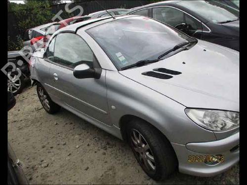 Right front door PEUGEOT 206 CC (2D) 2.0 S16 | BP25762442C3 