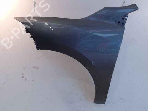 Left front fenders RENAULT MEGANE III Hatchback (BZ0/1_, B3_) 1.5 dCi (BZ0C) | BP24900315C41 