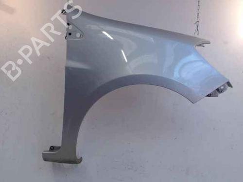Used Right front fenders RENAULT CLIO III (BR0/1, CR0/1) 1.2 16V (BR02, BR0J, BR11, CR02, CR0J, CR11) (75 hp) 24902057