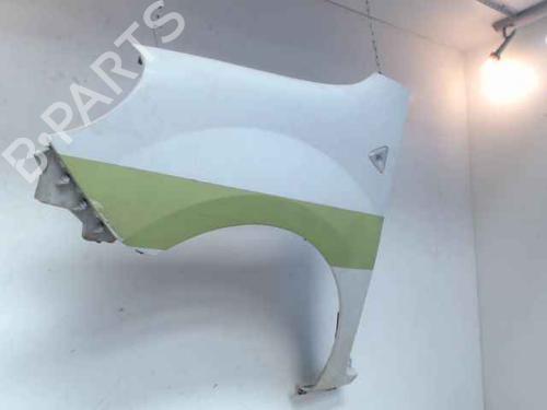 Used Left front fenders RENAULT KANGOO Express (FW0/1_) [2008-2025]  30379224