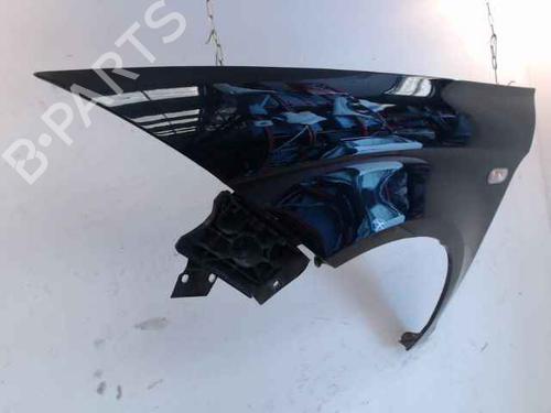 Left front fenders SEAT ALTEA (5P1)  | BP24900937C41 