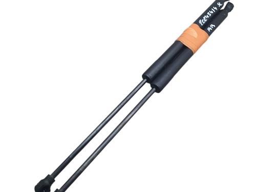 Gasdæmper bagklap DACIA SANDERO II TCe 90 (B8M1, B8MA, B8AC) (90 hp) 31366000