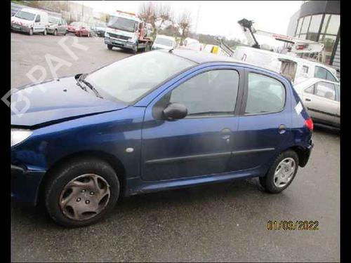 Left rear door PEUGEOT 206 Hatchback (2A/C) 1.9 D | BP24906486C4 