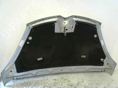 Hood CITROËN C4 Picasso I MPV (UD_)  | BP24896775C1 