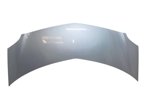 hood-renault-modus-grand-modus-fjp0_-2004-31842658 main image