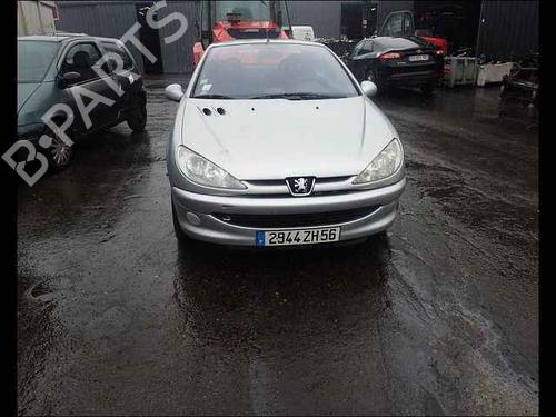 Electronic module PEUGEOT 206 CC (2D) | BP25012410M83