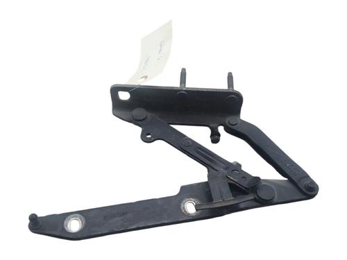 Hinge/Door check strap LAND ROVER RANGE ROVER SPORT I (L320) 2.7 D 4x4 | BP28526798C146 