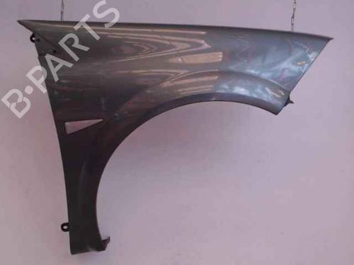 Used Right front fenders RENAULT MEGANE II Estate (KM0/1_) 1.5 dCi (KM02, KM13) (101 hp) 24901599