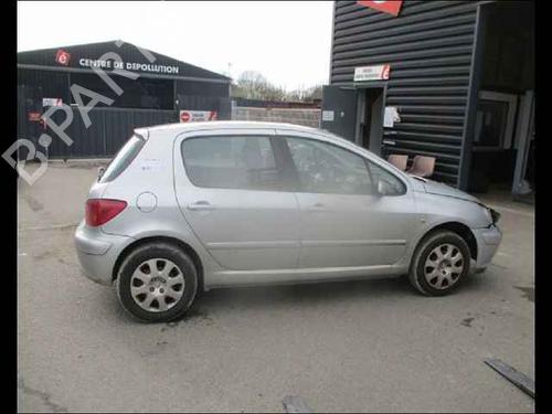 Left rear door PEUGEOT 307 (3A/C) 1.6 HDi 110 | BP24907199C4 