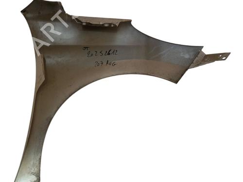 Left front fenders PEUGEOT 207 (WA_, WC_) 1.4 HDi | BP29962035C41