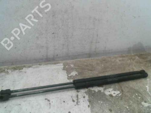 Used Tailgate lift support MERCEDES-BENZ A-CLASS (W169) A 180 CDI (169.007, 169.307) (109 hp) 24898009