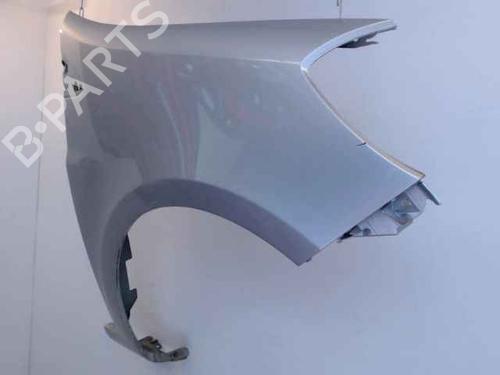 Right front fenders RENAULT CLIO III (BR0/1, CR0/1) 1.5 dCi (BR0H, CR0H, CR1S, BR1S) | BP24901587C42 
