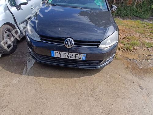 Tailgate lift support VW GOLF VII (5G1, BQ1, BE1, BE2) 1.6 TDI | BP29514842C138 