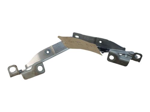 hingedoor-check-strap-citroen-c3-ii-sc_-2009-40239343 main image