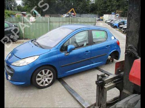 Left front door PEUGEOT 207 (WA_, WC_) 1.6 HDi | BP24906654C2 