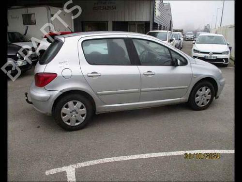 Right rear door PEUGEOT 307 (3A/C) 1.6 HDi 110 | BP24910767C5 