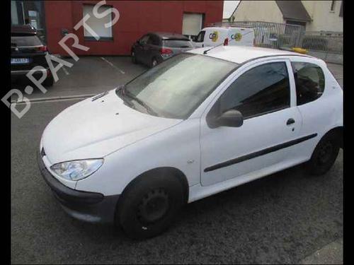 Left front door PEUGEOT 206 Hatchback (2A/C) 1.4 HDi eco 70 | BP24906497C2 
