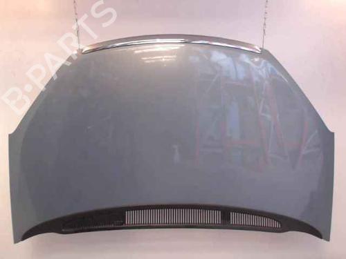 Used Hood FORD C-MAX (DM2) 1.6 TDCi (90 hp) 24896985