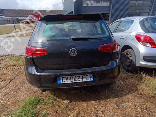 Tailgate VW GOLF VII (5G1, BQ1, BE1, BE2) 1.6 TDI | BP29599993C6