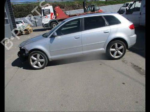 Right rear door AUDI A3 Sportback (8PA)  | BP24910226C5 