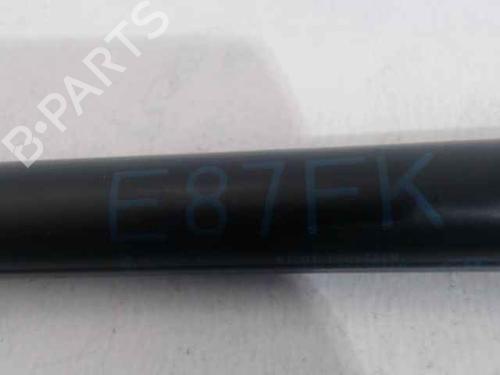 Hood lift support BMW 1 (E87) 118 d | BP24896813C139 