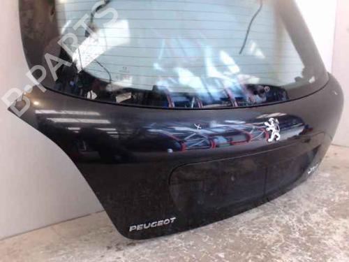 Tailgate PEUGEOT 207 (WA_, WC_) 1.4 HDi | BP24897397C6 