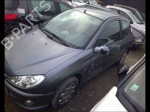 Right front door PEUGEOT 206 Hatchback (2A/C)  | BP24910255C3 