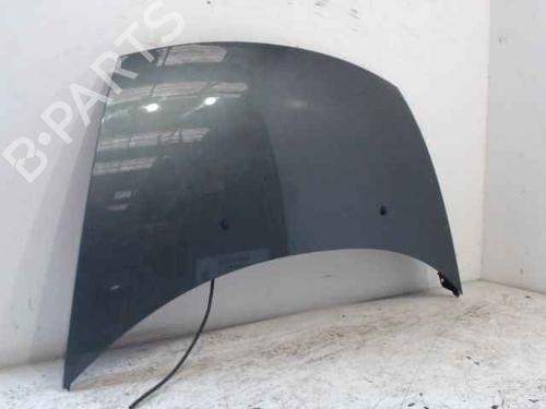 Hood CITROËN C3 I (FC_, FN_)  | BP24896830C1 