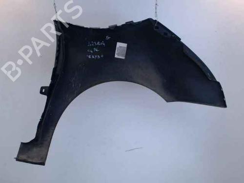 Left front fenders CITROËN C4 Picasso I MPV (UD_) 1.6 HDi | BP24900375C41 