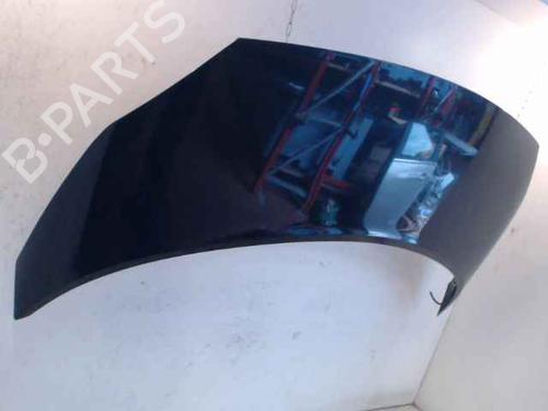 Hood RENAULT GRAND SCÉNIC II (JM0/1_)  | BP24896467C1 