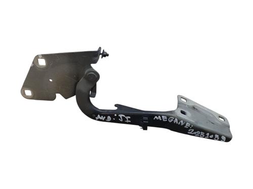 Used Hinge/Door check strap RENAULT MEGANE III Hatchback (BZ0/1_, B3_) 1.6 dCi (BZ00, BZ12, BZ13) (130 hp) 30138551