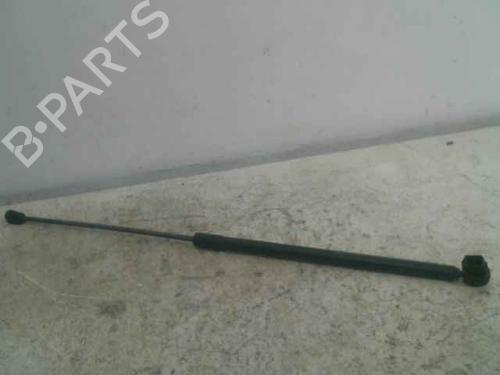 Used Hood lift support RENAULT MEGANE III Hatchback (BZ0/1_, B3_) 1.6 dCi (BZ00, BZ12, BZ13) (130 hp) 25011701