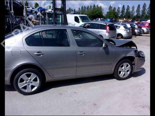 Right front door SKODA OCTAVIA II (1Z3) 1.9 TDI | BP24910901C3 