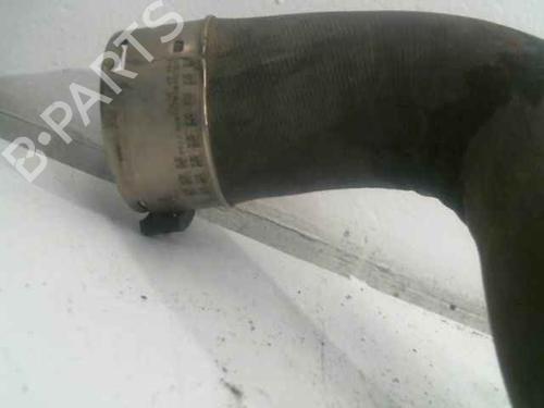 Rohr RENAULT MEGANE III Hatchback (BZ0/1_, B3_) 1.5 dCi (BZ09, BZ0D, BZ1W, BZ29, BZ14) | BP25764364M125 