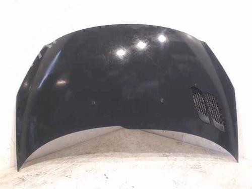 Used Hood PEUGEOT 206+ (2L_, 2M_) 1.4 HDi eco 70 (68 hp) 24896904