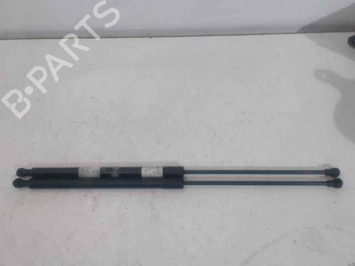 Used Hood lift support CITROËN C6 (TD_) 3.0 HDi (241 hp) 25011322