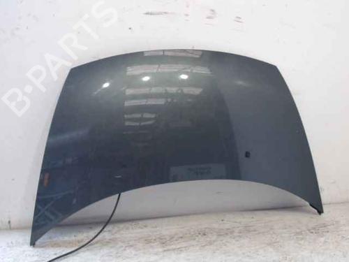 Used Hood CITROËN C3 I (FC_, FN_) [2002-2013]  24896830