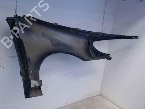 Left front fenders PEUGEOT 607 (9D, 9U) 2.7 HDi 24V | BP24900939C41 