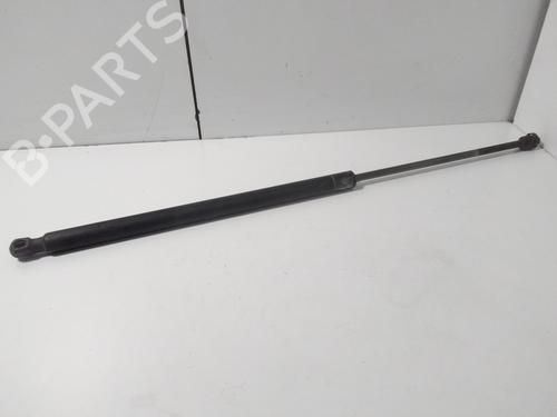 Tailgate lift support LAND ROVER RANGE ROVER SPORT I (L320) 2.7 D 4x4 | BP15454658C138 