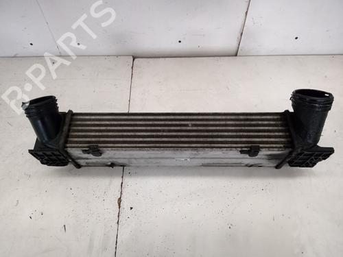 Intercooler BMW 3 Touring (E91) [2004-2012]  16685335