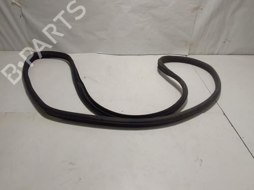Gummilist LAND ROVER RANGE ROVER SPORT I (L320) 2.7 D 4x4 (190 hp) 15455337