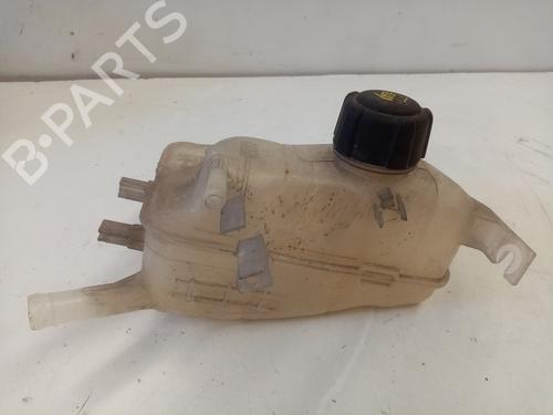 Used Expansion tank RENAULT SCÉNIC III (JZ0/1_) 1.6 dCi (JZ00, JZ12) (130 hp) 24864191