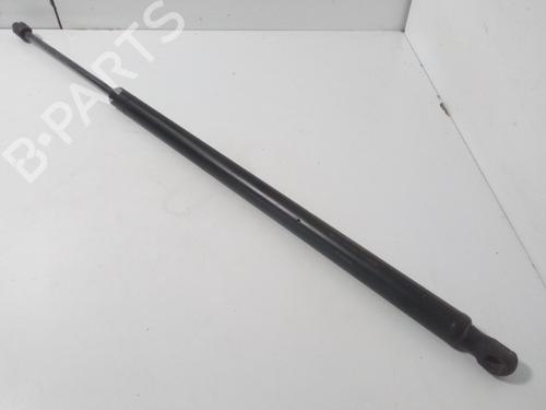 Tailgate lift support LAND ROVER RANGE ROVER SPORT I (L320) 2.7 D 4x4 | BP15454582C138 