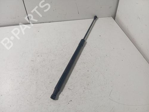 Tailgate lift support NISSAN QASHQAI / QASHQAI +2 I (J10, NJ10, JJ10E)  | BP17319896C138 